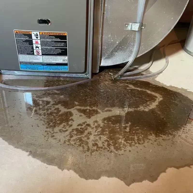 Appliance Leak Cleanup in Wolfe County, KY